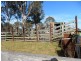 Casino NSW 2470