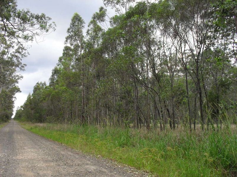 Lot 17 Myall Creek Road, Casino NSW 2470