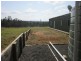 21 Peckham Rd, Tabulam NSW 2469