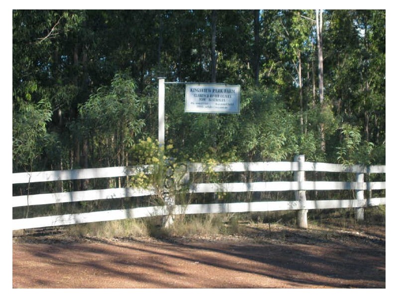 21 Peckham Rd, Tabulam NSW 2469