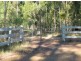 21 Peckham Rd, Tabulam NSW 2469