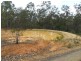 Lots 7 & 8 Old Tenterfield Road, Busbys Flat NSW 2469