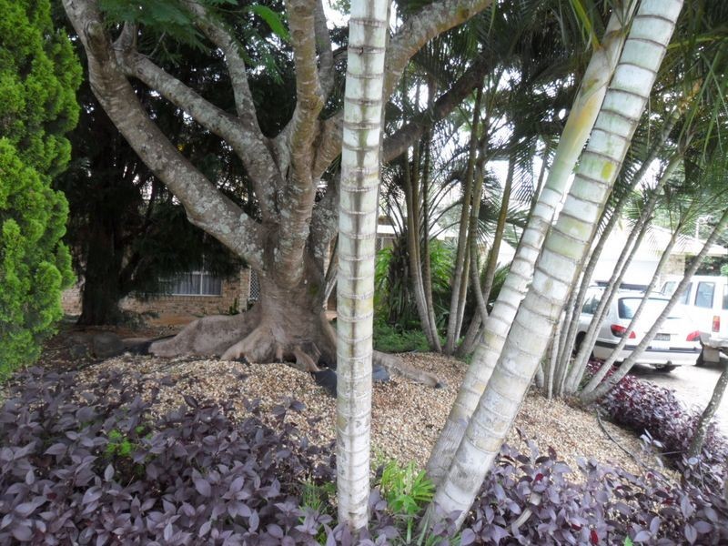 6 Rose Place, Casino NSW 2470