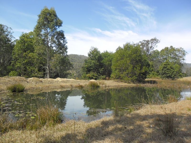 Old Bonalbo NSW 2469