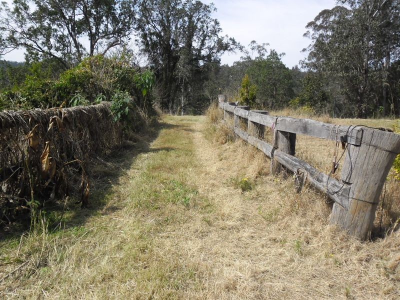 Old Bonalbo NSW 2469