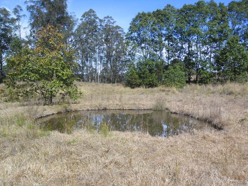 Old Bonalbo NSW 2469