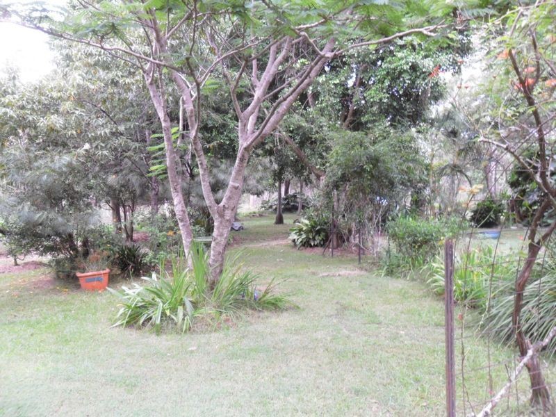 62 Leslie Creek Road, Drake NSW 2469