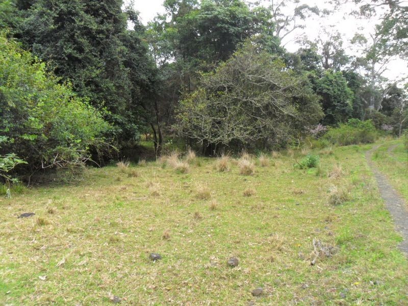 143B Bungabbee Road, Lismore NSW 2480