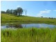 7888 Bruxner Hwy, Tabulam NSW 2469