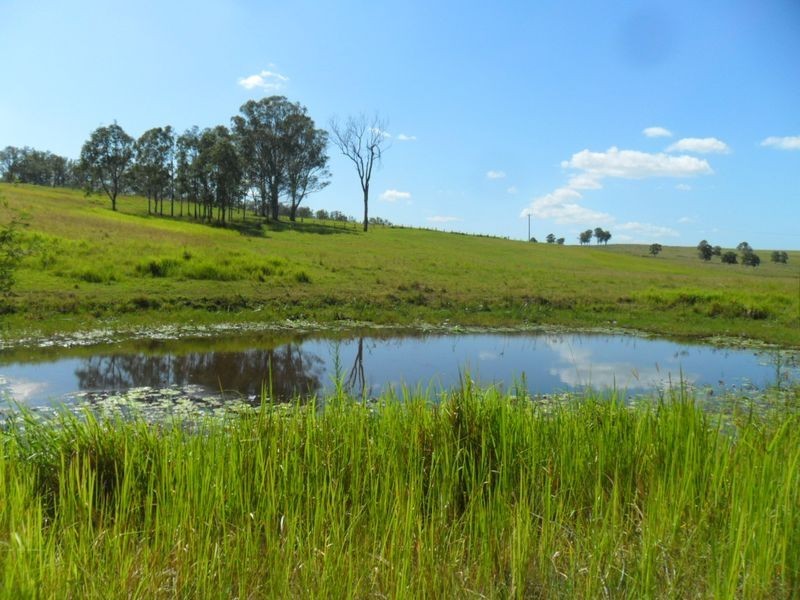 7888 Bruxner Hwy, Tabulam NSW 2469