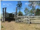 7888 Bruxner Hwy, Tabulam NSW 2469