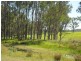 7888 Bruxner Hwy, Tabulam NSW 2469