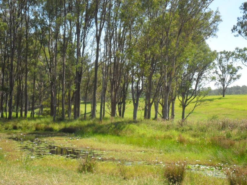 7888 Bruxner Hwy, Tabulam NSW 2469