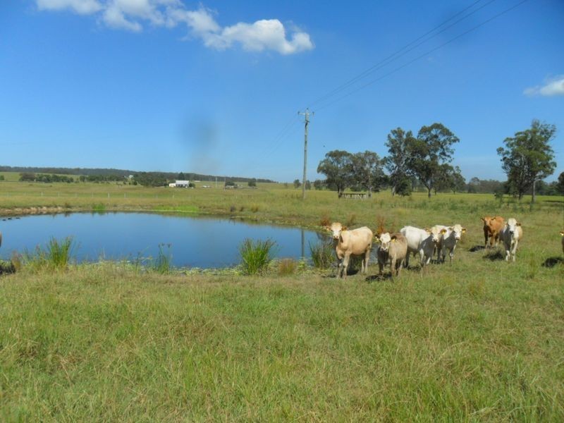 7888 Bruxner Hwy, Tabulam NSW 2469