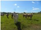 7888 Bruxner Hwy, Tabulam NSW 2469