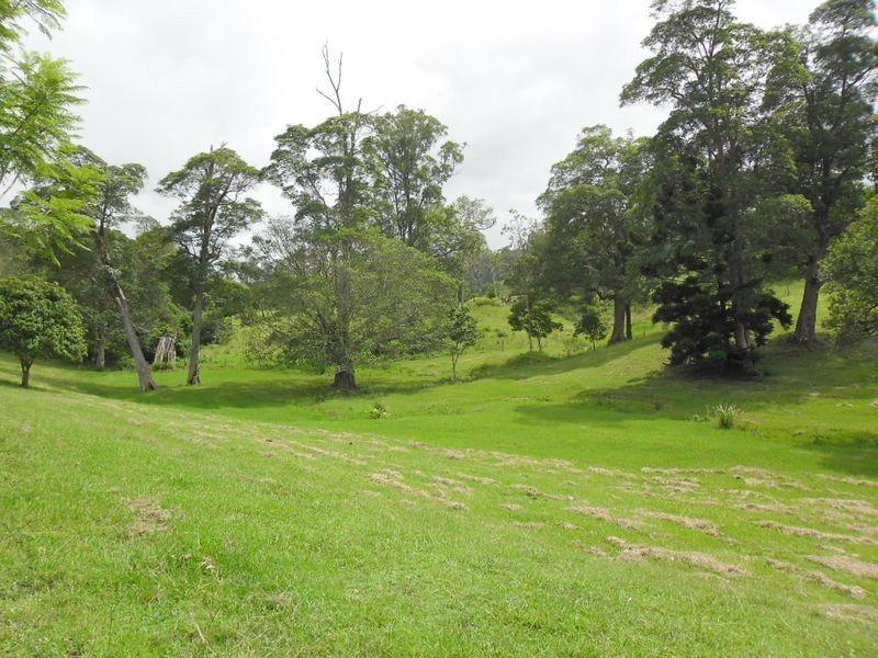 482 Afterlee Road, Kyogle NSW 2474