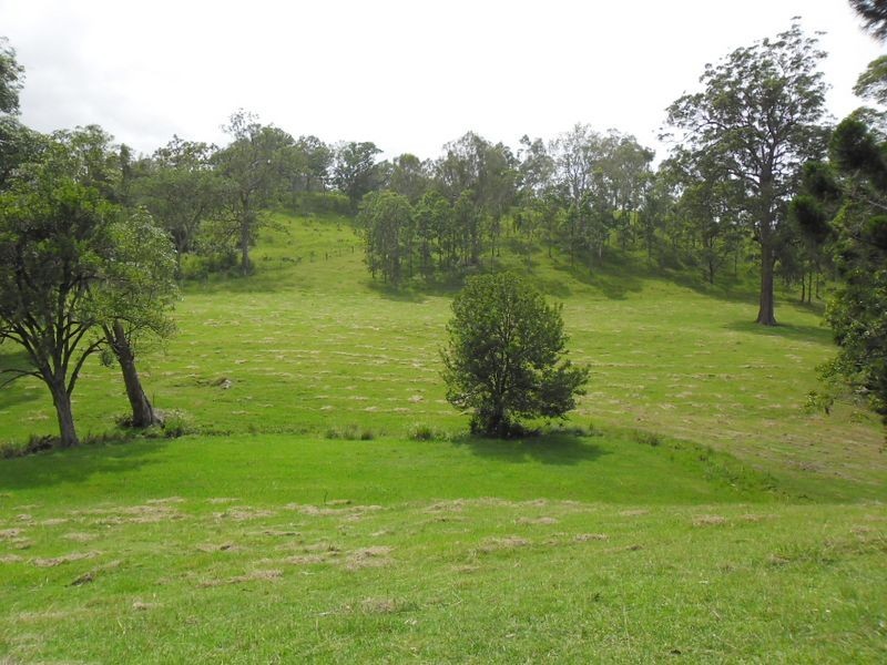 482 Afterlee Road, Kyogle NSW 2474