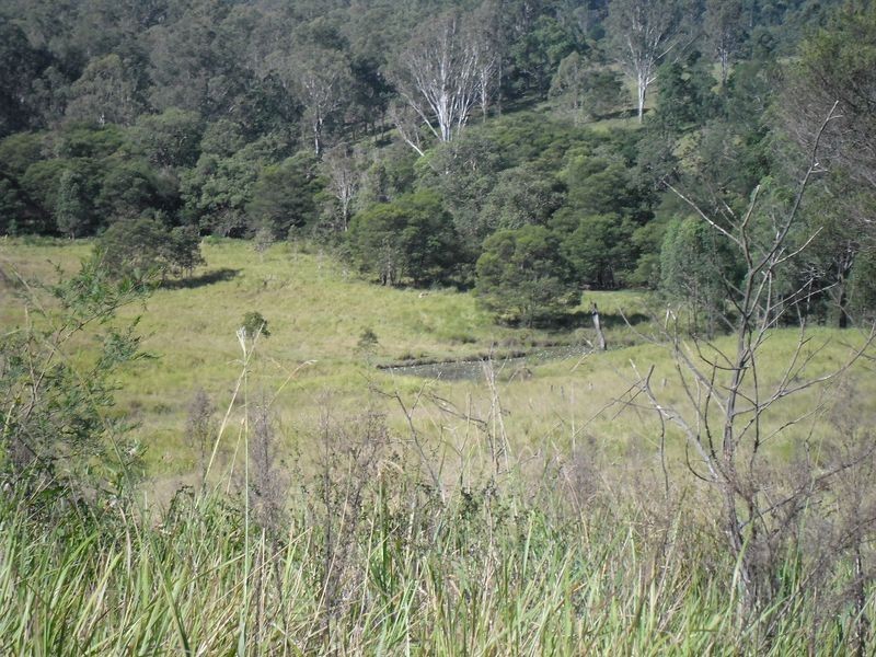 lot 4 Wallaby Road, Tabulam NSW 2469