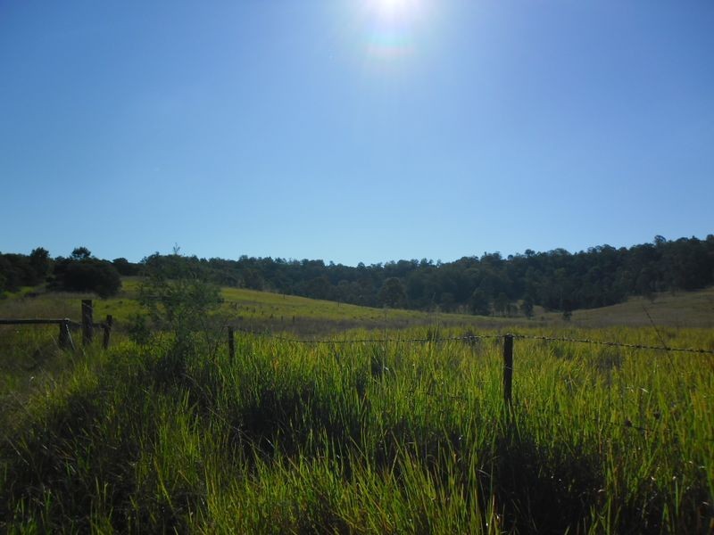 lot 4 Wallaby Road, Tabulam NSW 2469