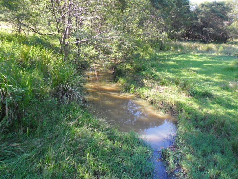 lot 4 Wallaby Road, Tabulam NSW 2469