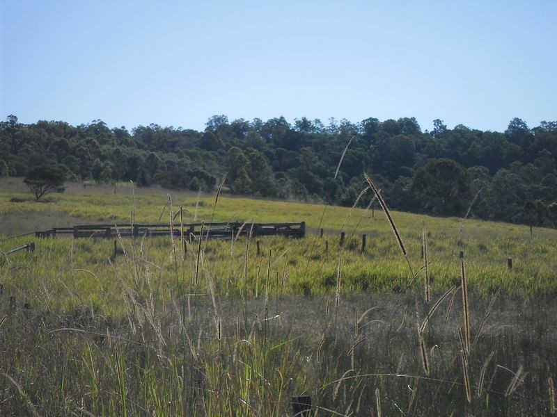 lot 4 Wallaby Road, Tabulam NSW 2469