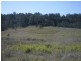 lot 4 Wallaby Road, Tabulam NSW 2469