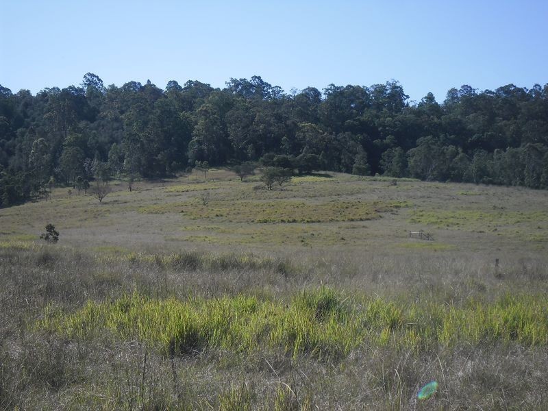 lot 4 Wallaby Road, Tabulam NSW 2469