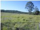 lot 4 Wallaby Road, Tabulam NSW 2469