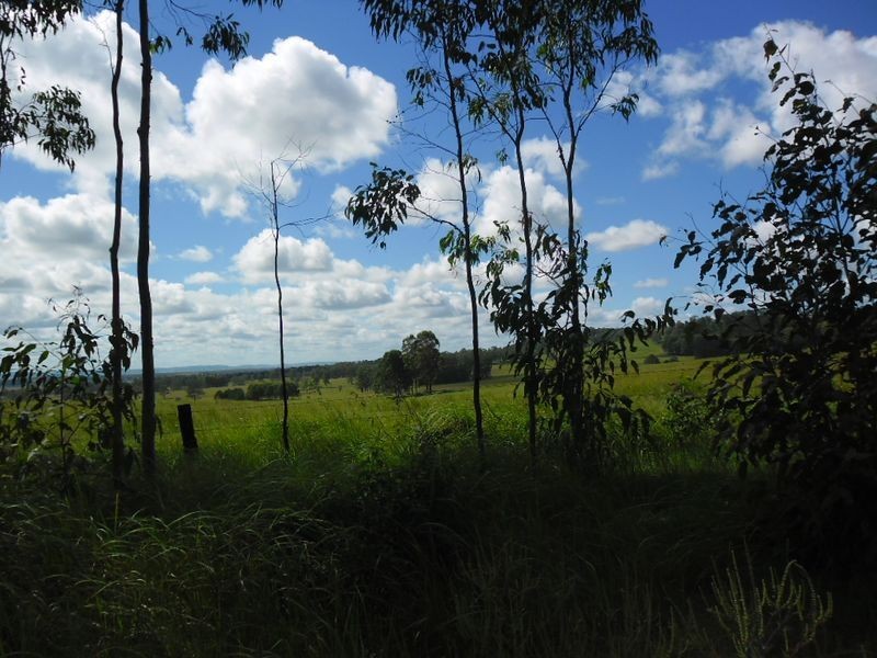 Lot 2 Shannonbrook Road, Backmede NSW 2470