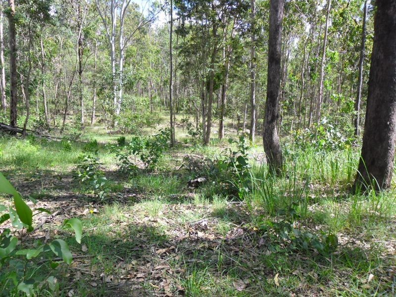 Lot 2 Shannonbrook Road, Backmede NSW 2470