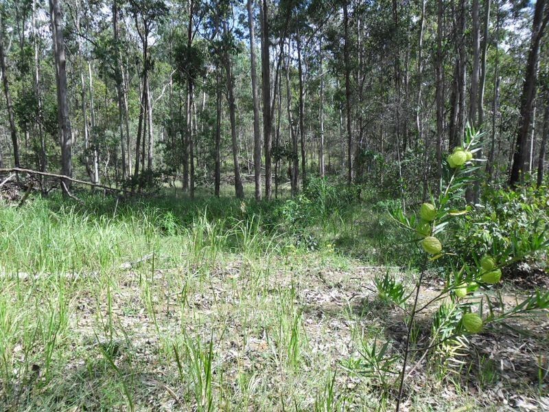 Lot 2 Shannonbrook Road, Backmede NSW 2470