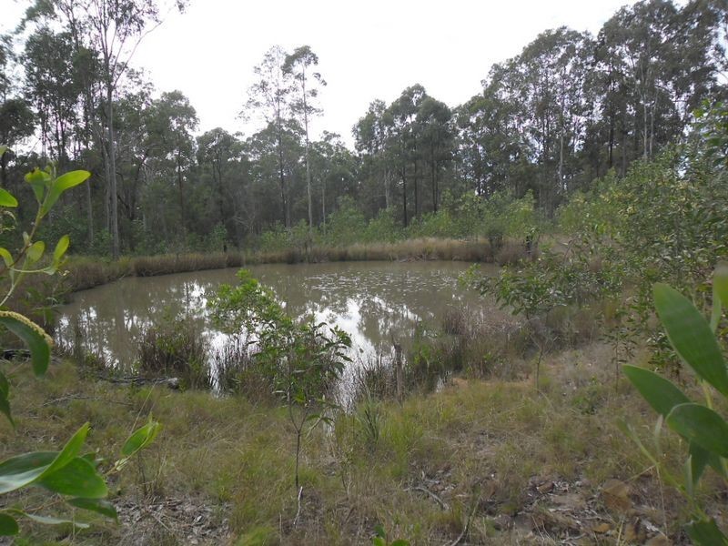 514 Bulldog Road, Tabulam NSW 2469