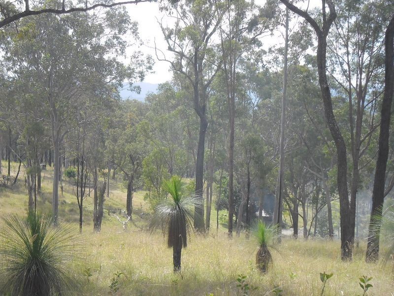 514 Bulldog Road, Tabulam NSW 2469