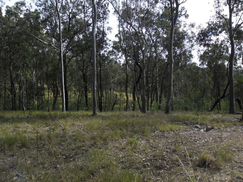 514 Bulldog Road, Tabulam NSW 2469