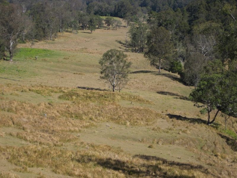 Backmede NSW 2470