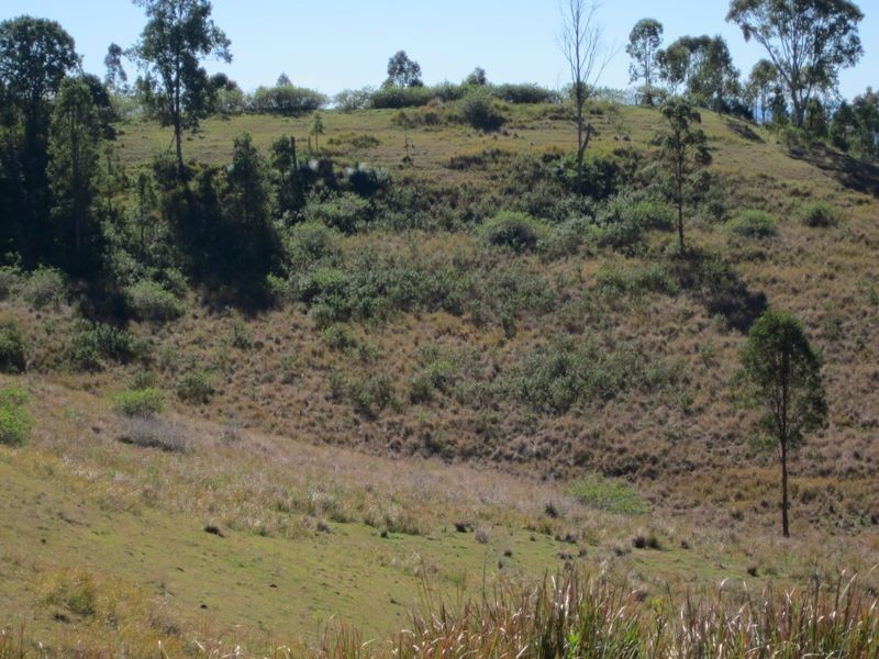 Backmede NSW 2470