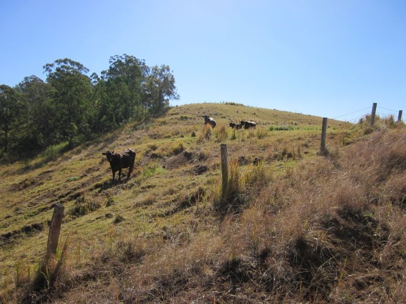 Backmede NSW 2470