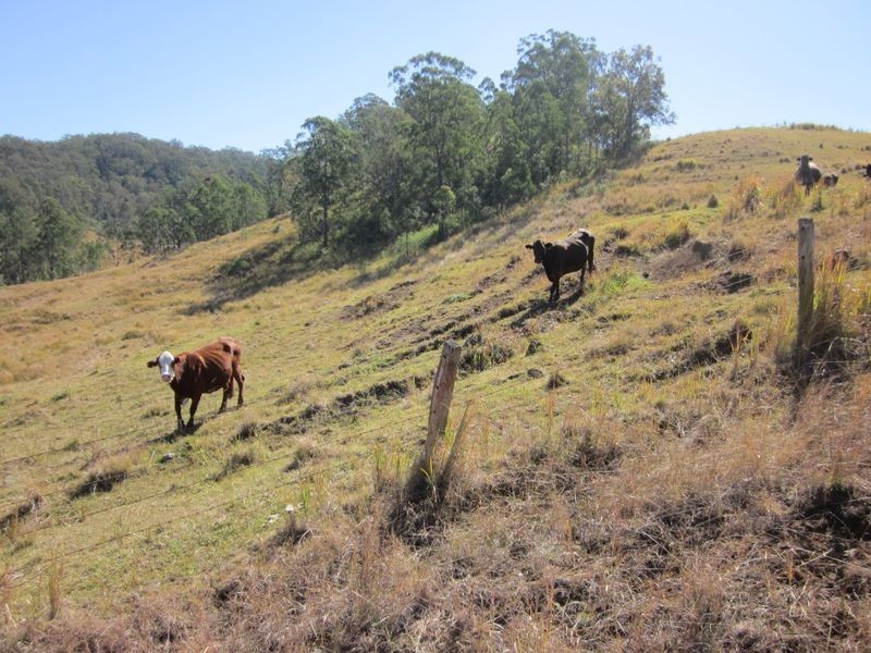 Backmede NSW 2470