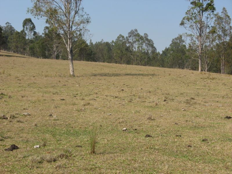 Lot 146 Old Lawrence Road, Mallanganee NSW 2469