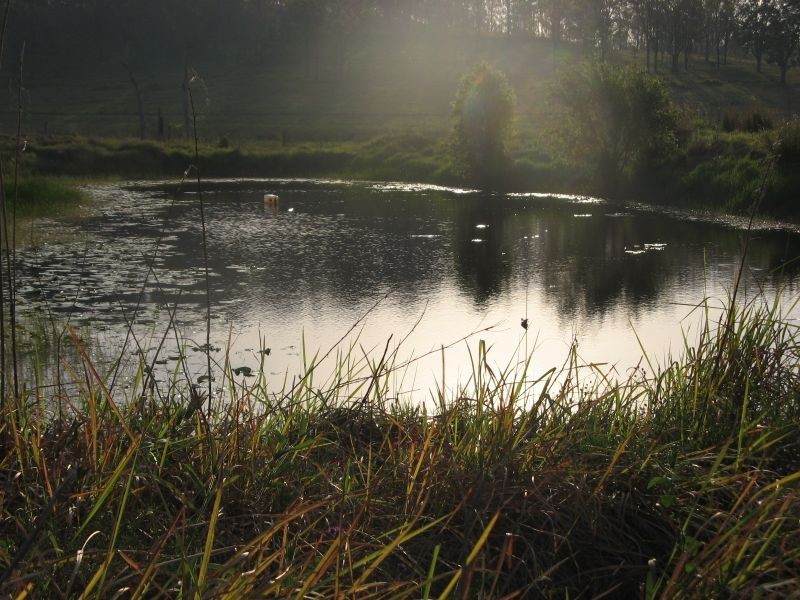 1521 Dyraaba Road, Casino NSW 2470