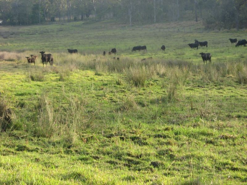 1521 Dyraaba Road, Casino NSW 2470