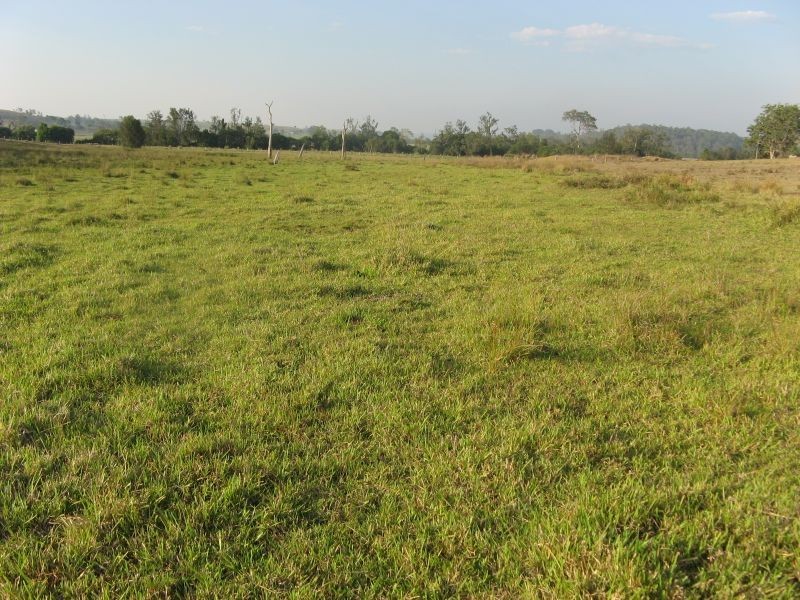 1521 Dyraaba Road, Casino NSW 2470