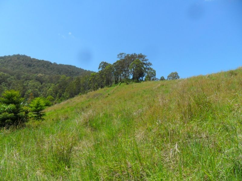 114 Boorabee Creek Road, Kyogle NSW 2474