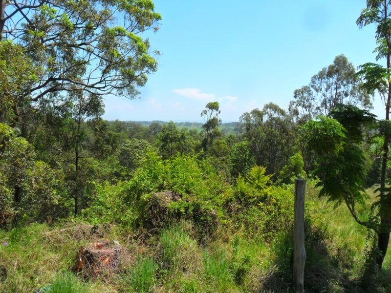 114 Boorabee Creek Road, Kyogle NSW 2474