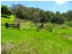 411 Boorabee Creek Road, Kyogle NSW 2474