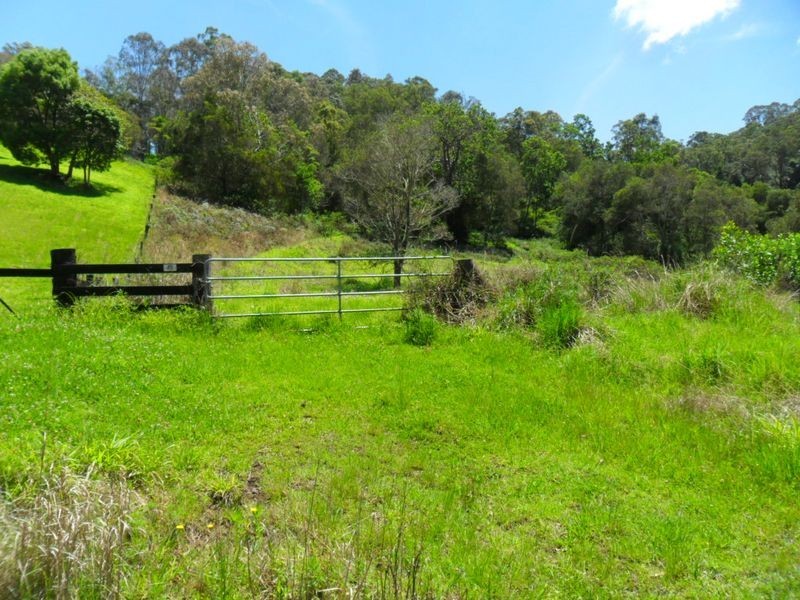 411 Boorabee Creek Road, Kyogle NSW 2474