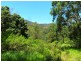 411 Boorabee Creek Road, Kyogle NSW 2474
