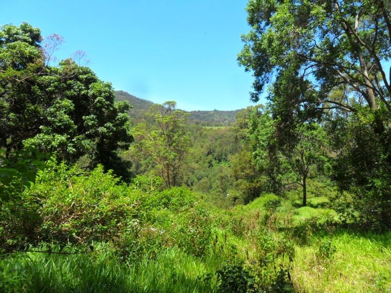 411 Boorabee Creek Road, Kyogle NSW 2474