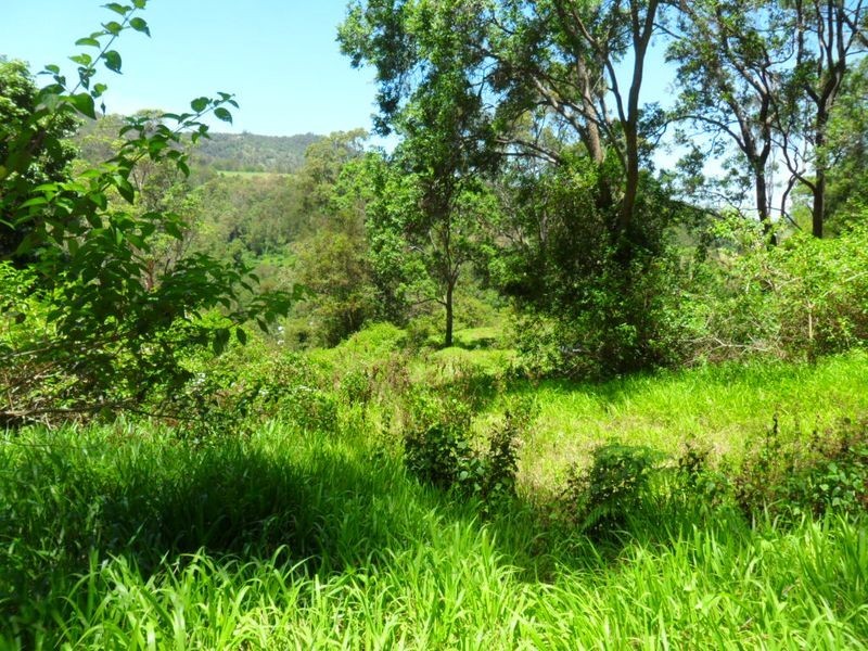 411 Boorabee Creek Road, Kyogle NSW 2474