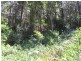 411 Boorabee Creek Road, Kyogle NSW 2474
